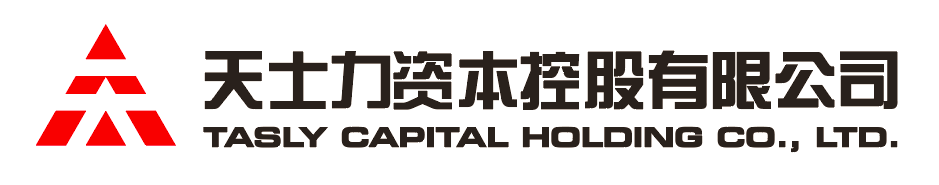 WPK资本控股有限公司